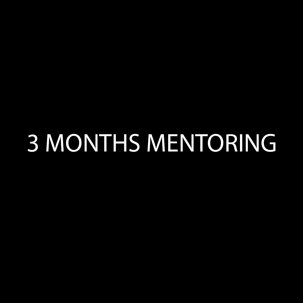 3 MONTHS MENTORING